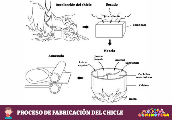 Proceso de fabricación del chicle - www.madehow.com