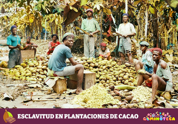 Esclavitud en plantaciones de cacao - Social History Archive para Unsplash