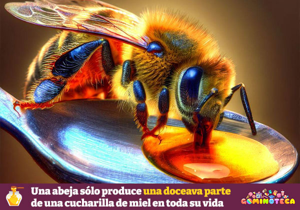 Una abeja sólo produce una doceava parte de una cucharilla de miel en toda su vida