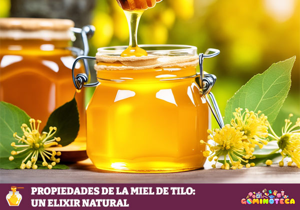 Propiedades de la Miel de Tilo: un Elixir Natural